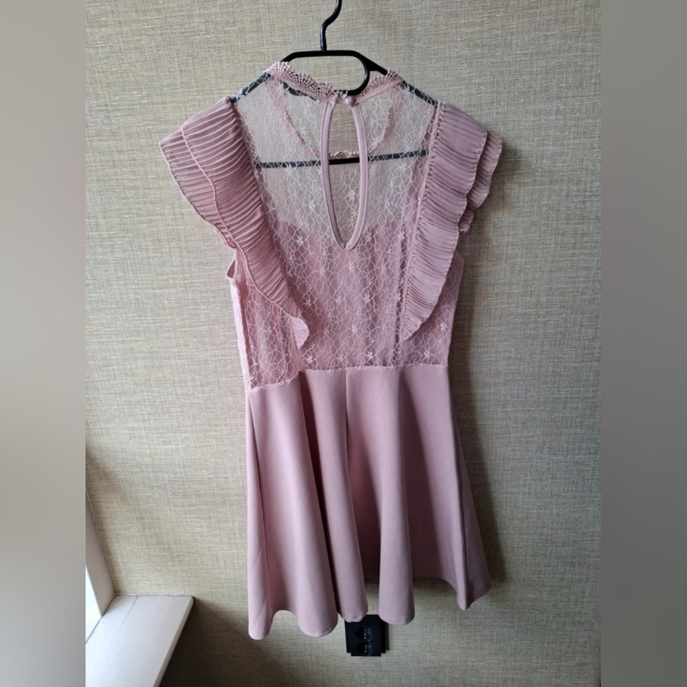 Pink Lace Ruffle Dress - Picture 5 of 5